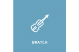 Bratsch